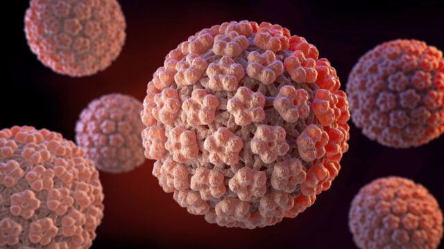 Genital Warts HPV mer Bayrak Resmi Web Sitesi genital-warts-hpv-mer-bayrak-resmi-web-sitesi