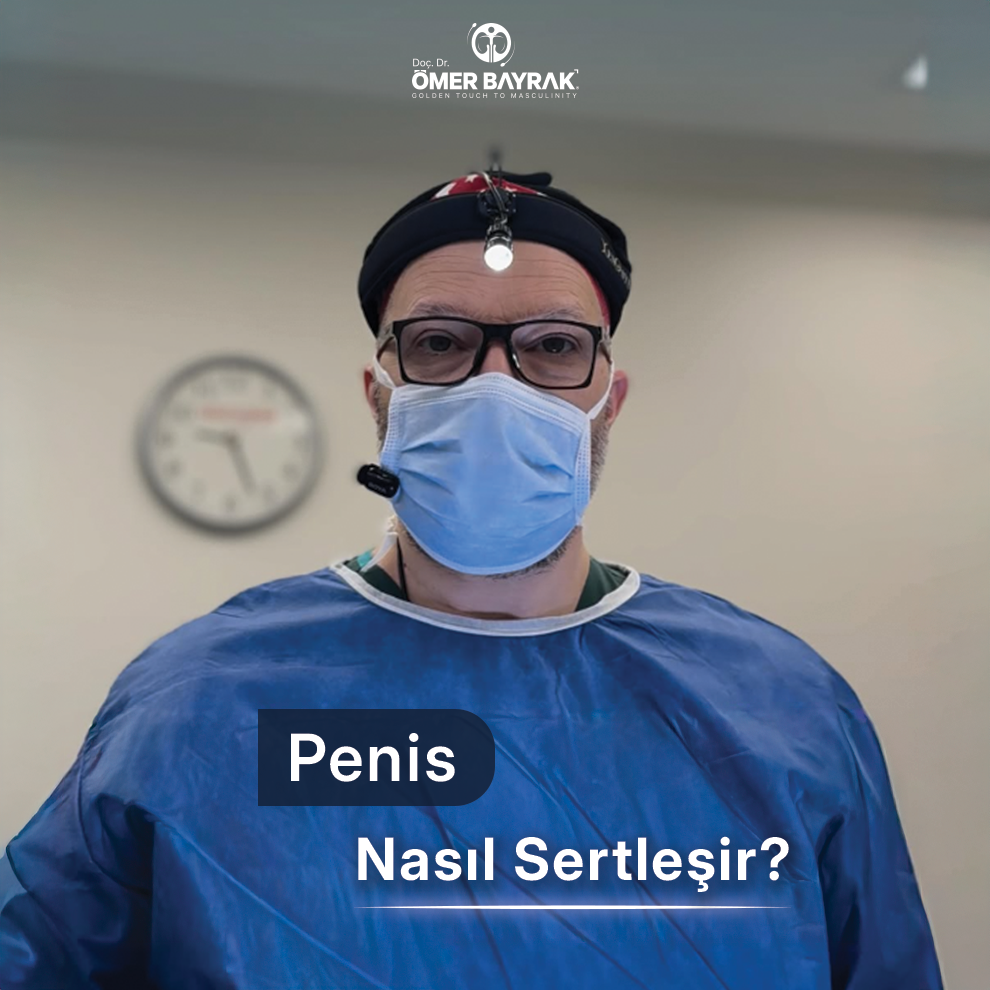 penis nasıl sertleşir