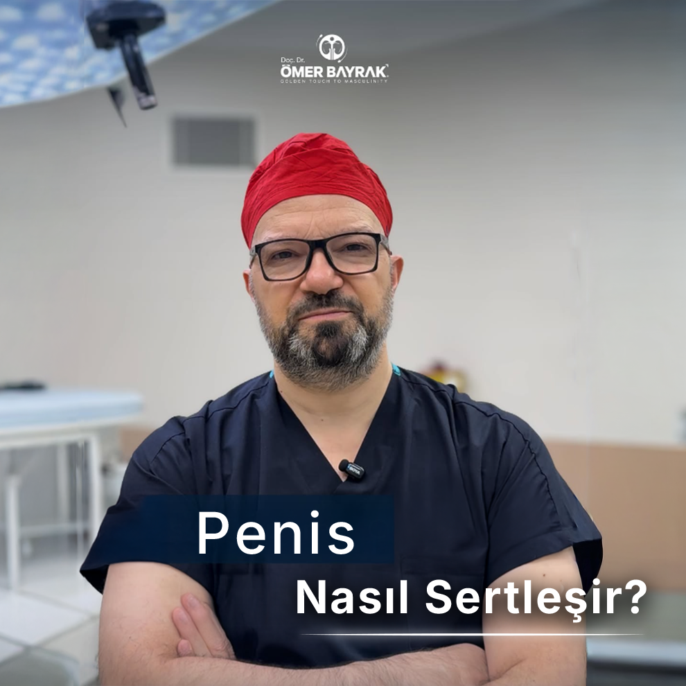 penis sertleşmesi