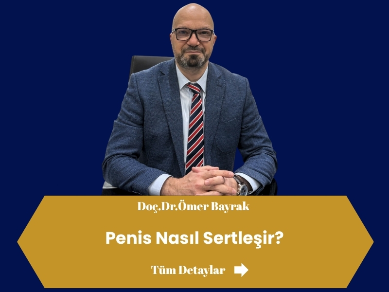 penis sertleşmesi