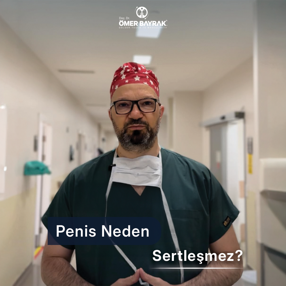 penis sertleşmesi